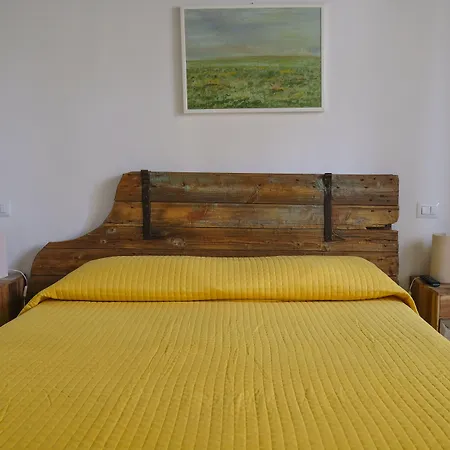 B&B Bonsignori-3